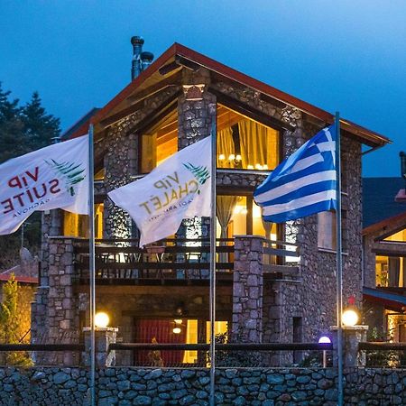 Vip Chalet 4 Seasons Arachova Exterior foto